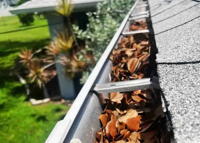 Meggett gutter cleaning home page
